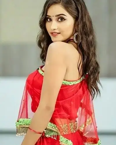 Call Girls Service Himayatnagar